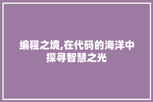 编程之境,在代码的海洋中探寻智慧之光