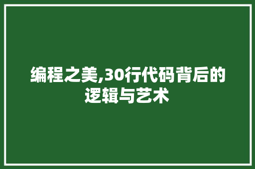 编程之美,30行代码背后的逻辑与艺术