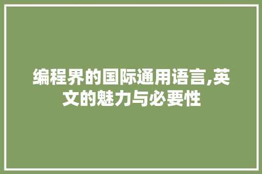 编程界的国际通用语言,英文的魅力与必要性