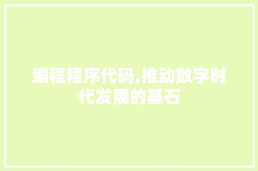 编程程序代码,推动数字时代发展的基石