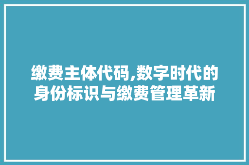 缴费主体代码,数字时代的身份标识与缴费管理革新 PHP