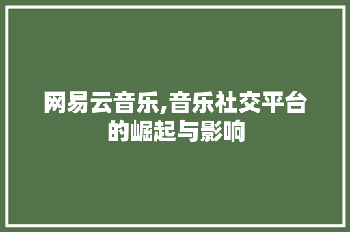 网易云音乐,音乐社交平台的崛起与影响