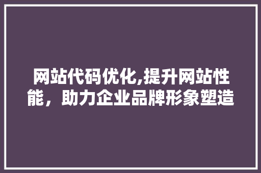 网站代码优化,提升网站性能，助力企业品牌形象塑造