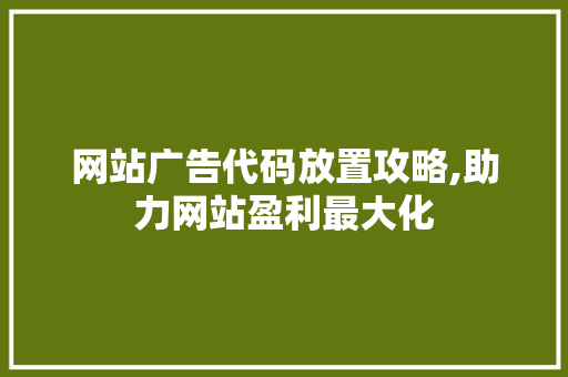 网站广告代码放置攻略,助力网站盈利最大化