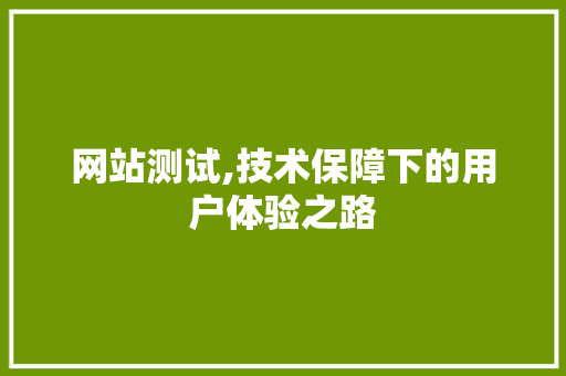 网站测试,技术保障下的用户体验之路