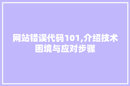 网站错误代码101,介绍技术困境与应对步骤