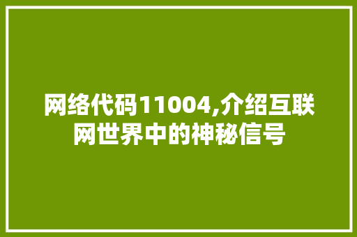 网络代码11004,介绍互联网世界中的神秘信号