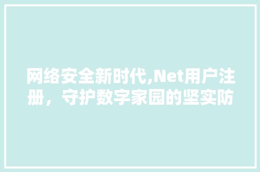 网络安全新时代,Net用户注册，守护数字家园的坚实防线