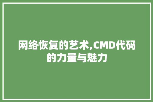 网络恢复的艺术,CMD代码的力量与魅力