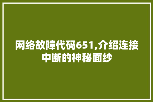 网络故障代码651,介绍连接中断的神秘面纱