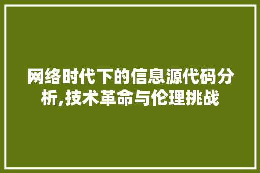 网络时代下的信息源代码分析,技术革命与伦理挑战