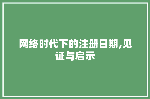 网络时代下的注册日期,见证与启示