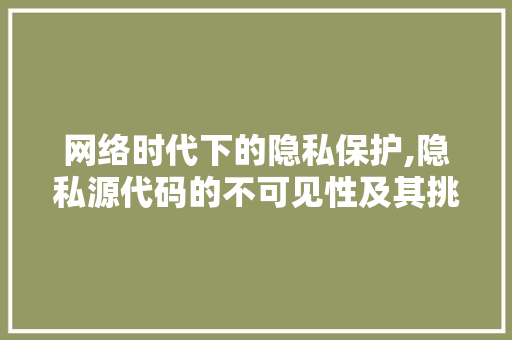 网络时代下的隐私保护,隐私源代码的不可见性及其挑战