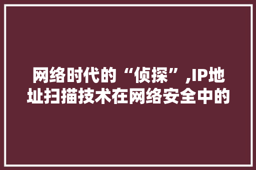 网络时代的“侦探”,IP地址扫描技术在网络安全中的应用