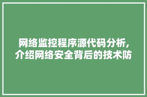 网络监控程序源代码分析,介绍网络安全背后的技术防线