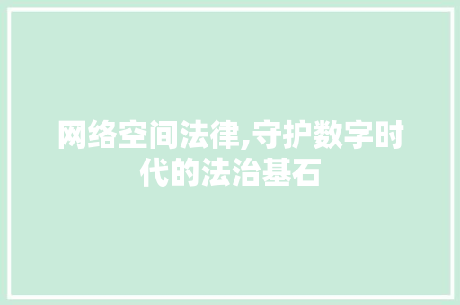 网络空间法律,守护数字时代的法治基石