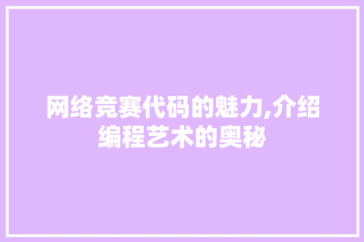 网络竞赛代码的魅力,介绍编程艺术的奥秘