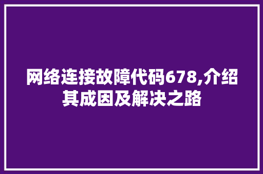 网络连接故障代码678,介绍其成因及解决之路