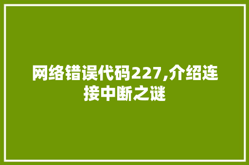 网络错误代码227,介绍连接中断之谜