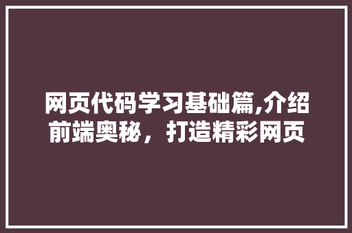 网页代码学习基础篇,介绍前端奥秘，打造精彩网页