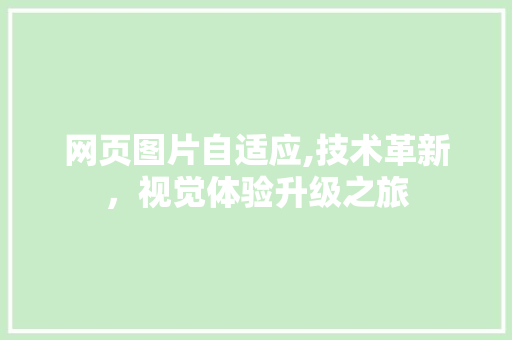 网页图片自适应,技术革新，视觉体验升级之旅