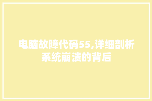 电脑故障代码55,详细剖析系统崩溃的背后