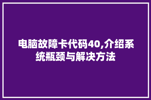 电脑故障卡代码40,介绍系统瓶颈与解决方法