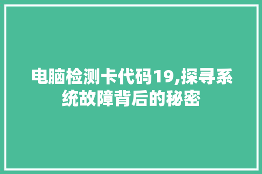 电脑检测卡代码19,探寻系统故障背后的秘密