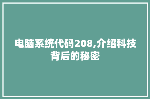 电脑系统代码208,介绍科技背后的秘密