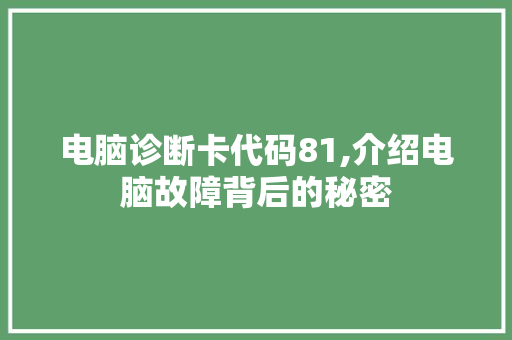 电脑诊断卡代码81,介绍电脑故障背后的秘密