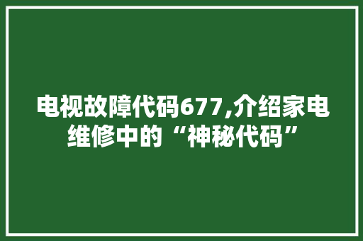 电视故障代码677,介绍家电维修中的“神秘代码”