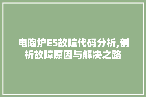 电陶炉E5故障代码分析,剖析故障原因与解决之路