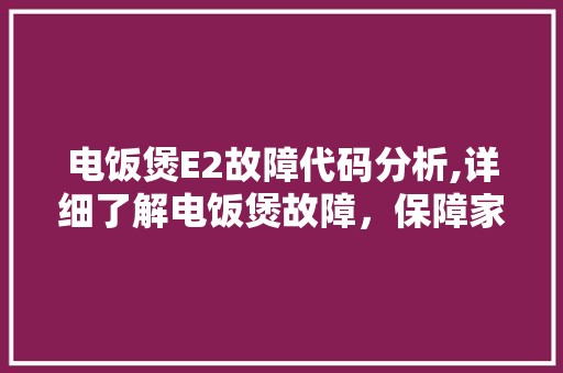 电饭煲E2故障代码分析,详细了解电饭煲故障，保障家庭烹饪安全