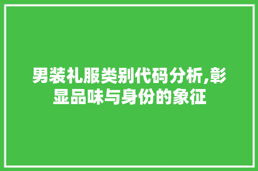 男装礼服类别代码分析,彰显品味与身份的象征