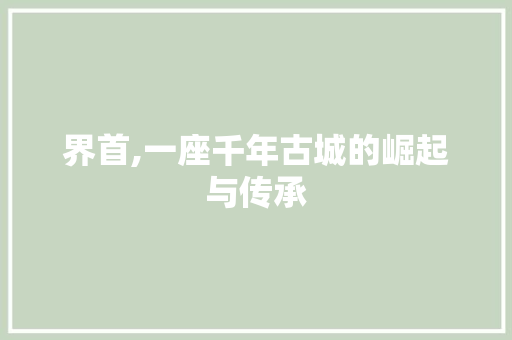 界首,一座千年古城的崛起与传承