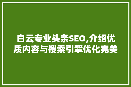 白云专业头条SEO,介绍优质内容与搜索引擎优化完美结合之路