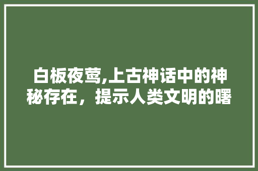 白板夜莺,上古神话中的神秘存在，提示人类文明的曙光