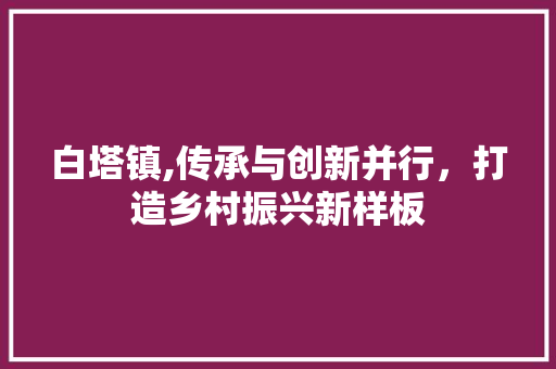 白塔镇,传承与创新并行，打造乡村振兴新样板