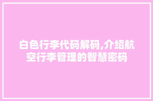 白色行李代码解码,介绍航空行李管理的智慧密码