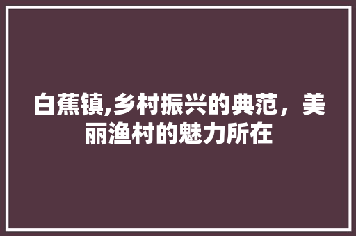 白蕉镇,乡村振兴的典范，美丽渔村的魅力所在