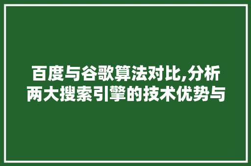 百度与谷歌算法对比,分析两大搜索引擎的技术优势与挑战