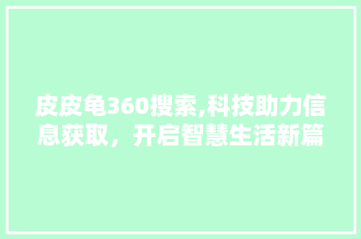 皮皮龟360搜索,科技助力信息获取，开启智慧生活新篇章