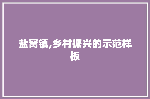 盐窝镇,乡村振兴的示范样板