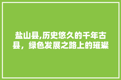 盐山县,历史悠久的千年古县，绿色发展之路上的璀璨明珠