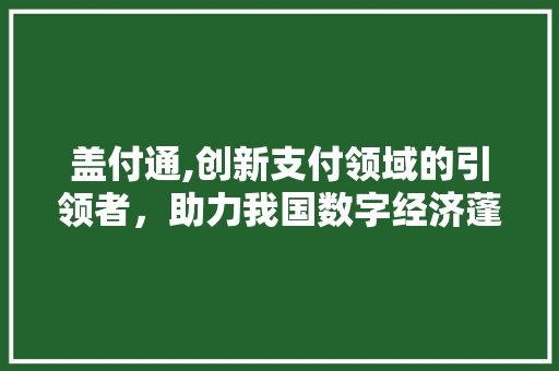 盖付通,创新支付领域的引领者，助力我国数字经济蓬勃发展