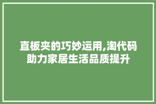 直板夹的巧妙运用,淘代码助力家居生活品质提升