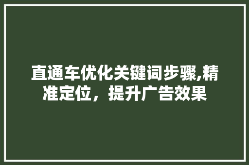 直通车优化关键词步骤,精准定位，提升广告效果