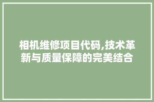 相机维修项目代码,技术革新与质量保障的完美结合