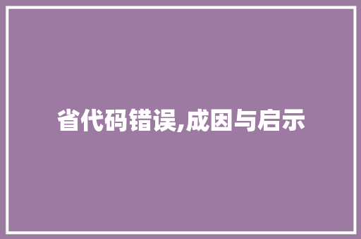 省代码错误,成因与启示