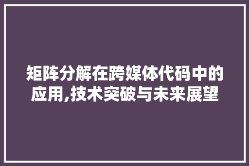 矩阵分解在跨媒体代码中的应用,技术突破与未来展望